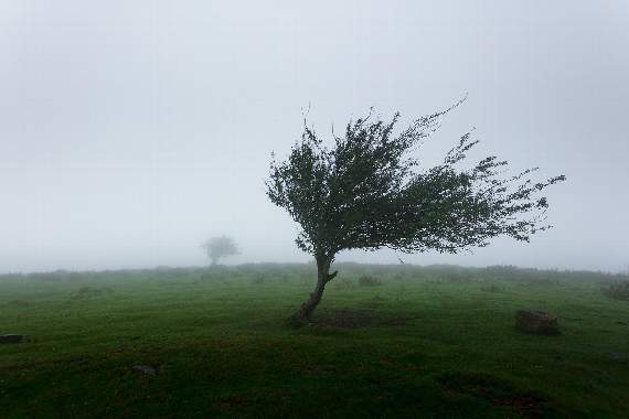 Storm Noa will bring strong winds, rain and disruption today