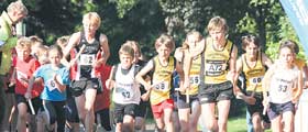 Athletes pick up baton in town relays