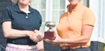 Yelverton lady golfers revel in the sunshine