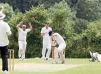 Middle order collapse costs Yelverton Bohemians dear