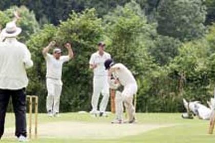 Middle order collapse costs Yelverton Bohemians dear