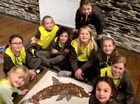 Tavistock Brownies raiding their piggy banks to help the Whale and Dolphin Conservation Charity