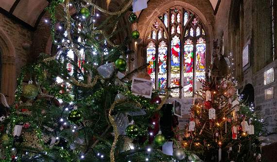 Record year for Tavistock's Christmas Tree Festival