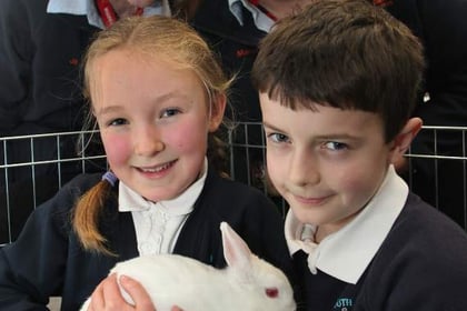 Ruby the rabbit joins South Tawton Primary