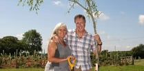 Bondleigh sculptor plans 1,000 trees at his studio site