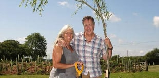 Bondleigh sculptor plans 1,000 trees at his studio site