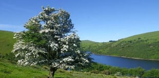 Consultation begins on potential parking charges at Meldon Reservoir — have your say