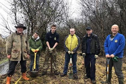 Okehampton Rotary Club members help town's RAF cadets plant 50 trees