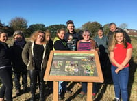 Playing field 'bog' in Crapstone has been turned into a conservation area