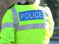 Assault at a popular pub in Tavistock and an attempted theft of nearly £2,000 worth of booze, just some of the incidents reported to West Devon police