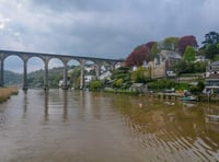 Calstock Parish Council precept decision necessary