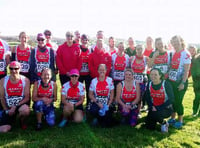 BATs group to swoop in annual seven miler