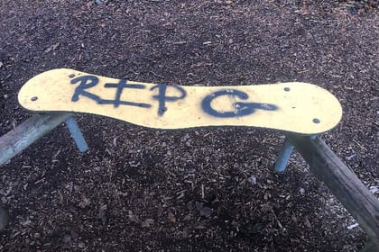 Vandals strike again at Yelverton Playpark