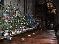 Tavistock Christmas Tree Festival returns next week