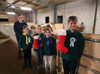 Christmas treats for ponies in need