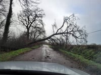 Storm Eunice wreaks havoc across West Devon