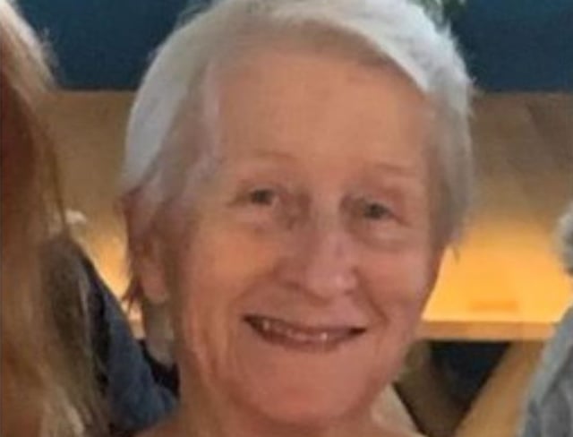 Concerns raised about missing woman in Callington area