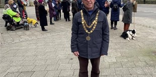 Outgoing Tavistock mayor makes plea for new blood on council