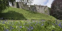 Bluebell Sunday returns this May