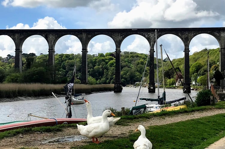 Calstock waterfront, River Tamar