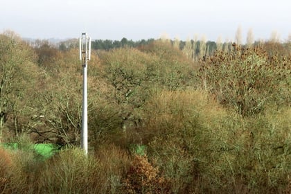 Fernworthy Forest phone mast could have solar power