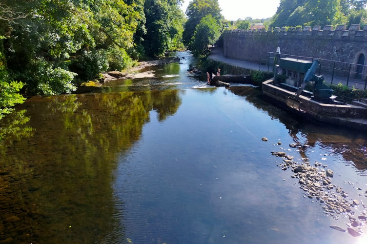 Heatwave swim in River Tavy