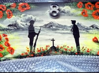 Tavistock mother appeals for return of missing Poppy Appeal painting