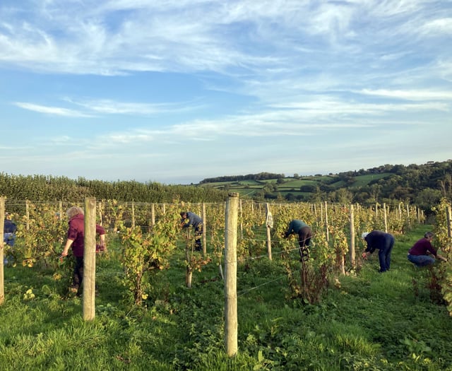 The community hoping to make their own wine