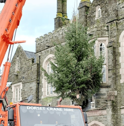 Lions Club of Tavistock’s annual Christmas charity  ‘Trees of Light’ put up on the town hall.