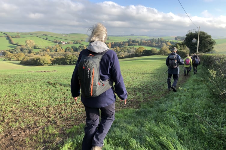 Okehampton Ramblers walk Nov 13 2022