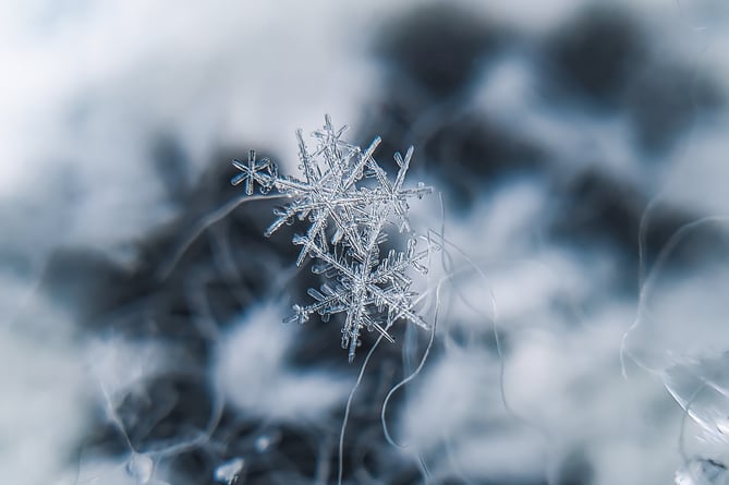 ice crystals