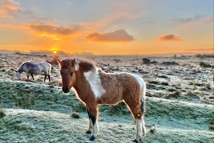 Dartmoor temperatures plummet to -7 degrees