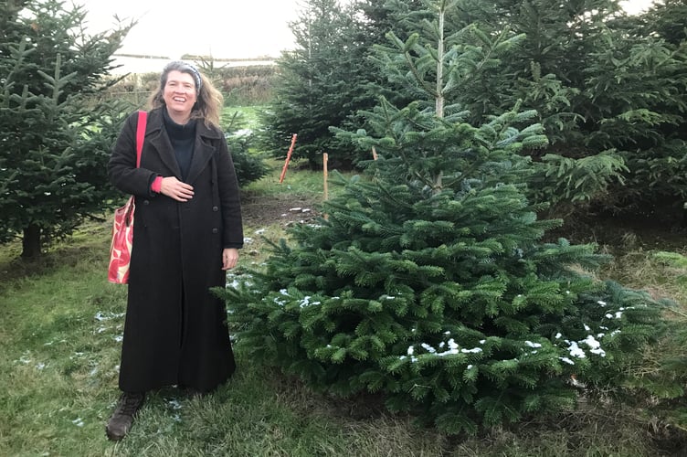 Sarah Pitt at Dupath Christmas Tree Farm near Callington