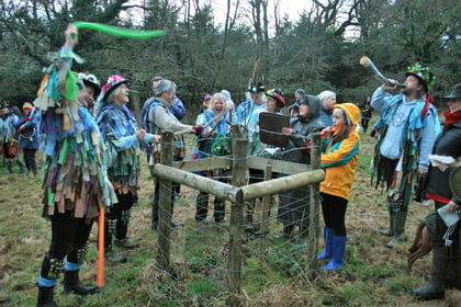 New Year wassailing event for Dartmoor Border Morris