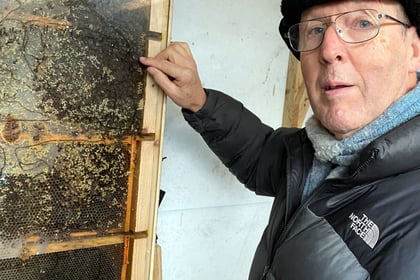 Beekeeping vital for world health says keeper