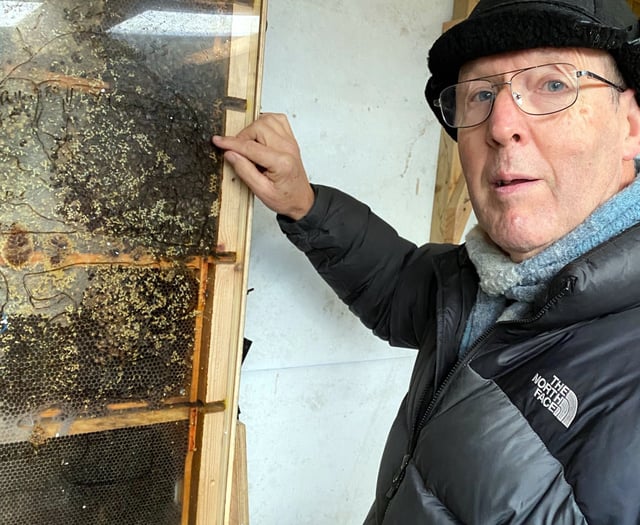 Beekeeping vital for world health says keeper