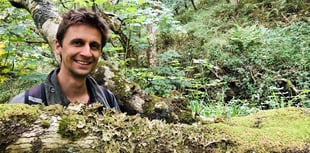 Writer to give talk in Calstock on restoring our ancient rainforests