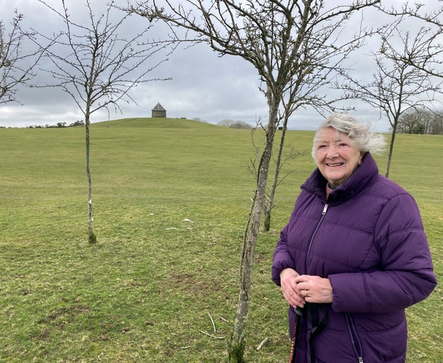 Moorland trees a ‘blot on the moor’ blocking views