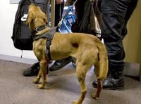 Drugs dog visits college