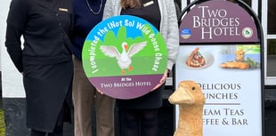 A family-friendly “Not So” Wild Goose Chase at the Two Bridges Hotel