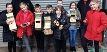 Bird boxes boost school’s eco-drive