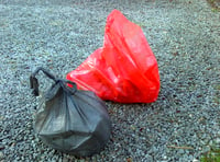 Worry over surging litter ‘epidemic’