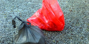 Worry over surging litter ‘epidemic’