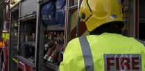 Dog dies in Tavistock house fire