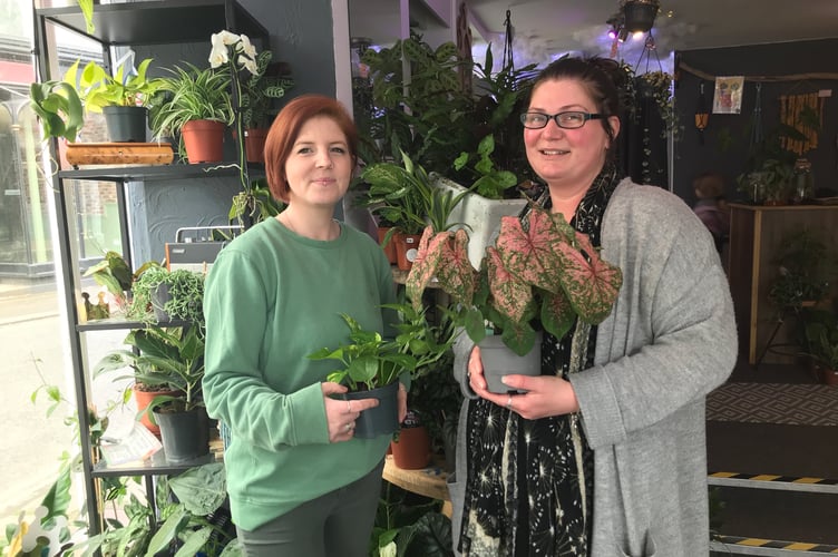 Hayley Perring and Lauren Bright The Inside Garden, 
Tavistock Country Garden Show