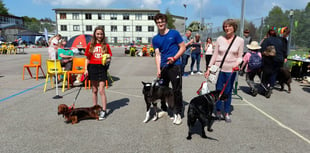 Dog show hailed a barking success