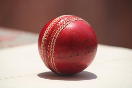 Cricket: Tavi force Thorverton to work despite poor score
