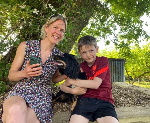 Autistic boy seeks help with self-help app