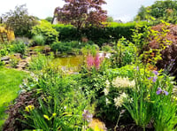 Mary Tavy gardens open in aid of St Luke’s