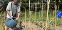 New allotments’ social benefits